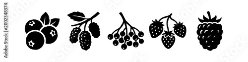 Collection of Black and White Berry Silhouettes and Icons Featuring Strawberry, Raspberry, Blueberry, Mulberry, and Currants Isolated on White Background