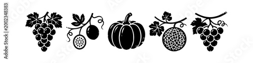 Black and White Fruit and Vegetable Silhouette Icons Set including Grapes, Passion Fruit, Pumpkin, and Melon in Minimalist Woodcut Style on White Background