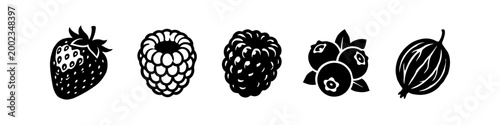 Set of Five Black Berry Icons Isolated on White Background including Strawberry Raspberry Blackberry Blueberry and Gooseberry Vector Illustrations for Minimalist Design