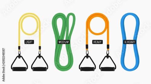 An array of colorful resistance bands, each labeled with intensity levels. It presents a useful tool for diverse workout regimens.