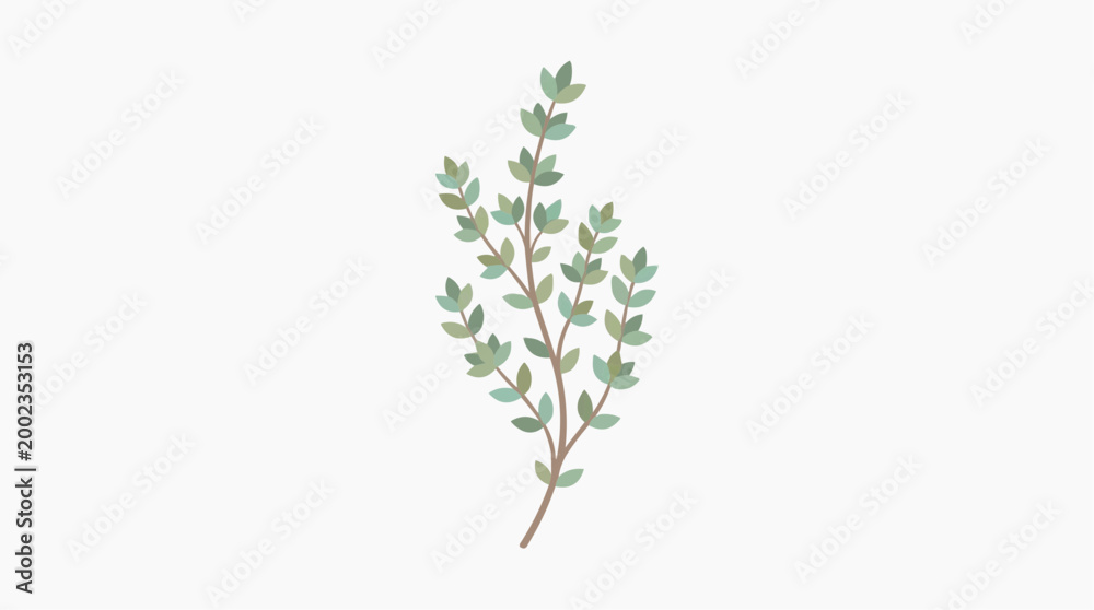 Obraz premium A sprig of thyme. A delicate sprig of thyme, illustrated in a clean, modern style, offering a sense of freshness and natural beauty.