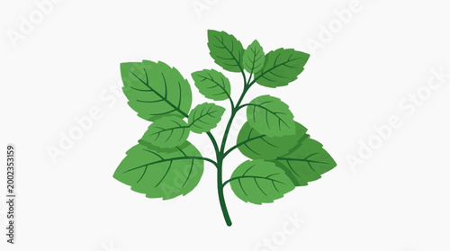 A vibrant illustration of a leafy branch showcasing a lush green plant. Embodying nature's simple beauty. 