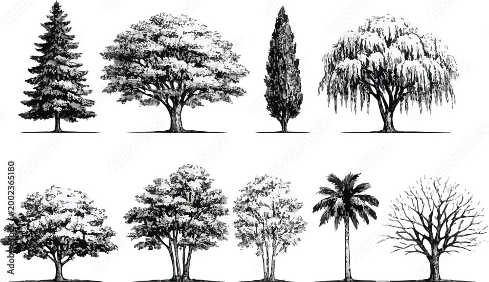 Fototapeta premium Black and White Layered Forest Landscape Vector with Tree PNG Seamless Nature on transparent background