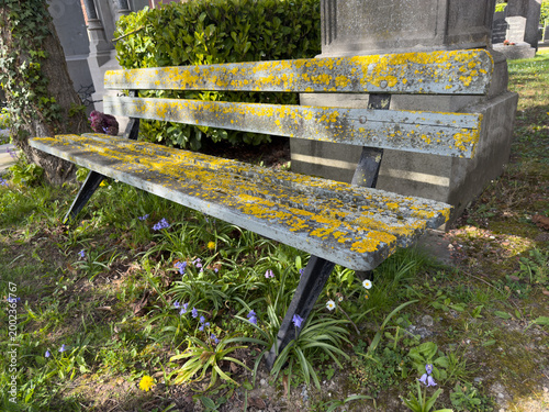 Schilderij op canvas Weathered bench covered in yellow lichen at cemetery