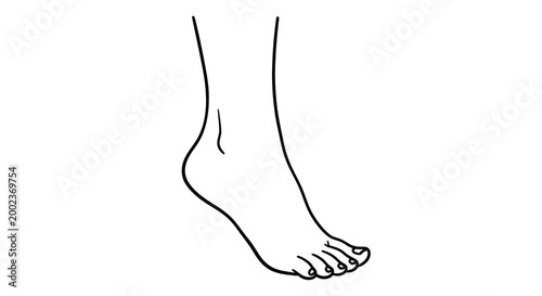 foot silhouette on white background linear drawing