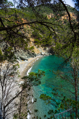 Hidden cove with turquoise water framed by pine trees Mediterranean coast