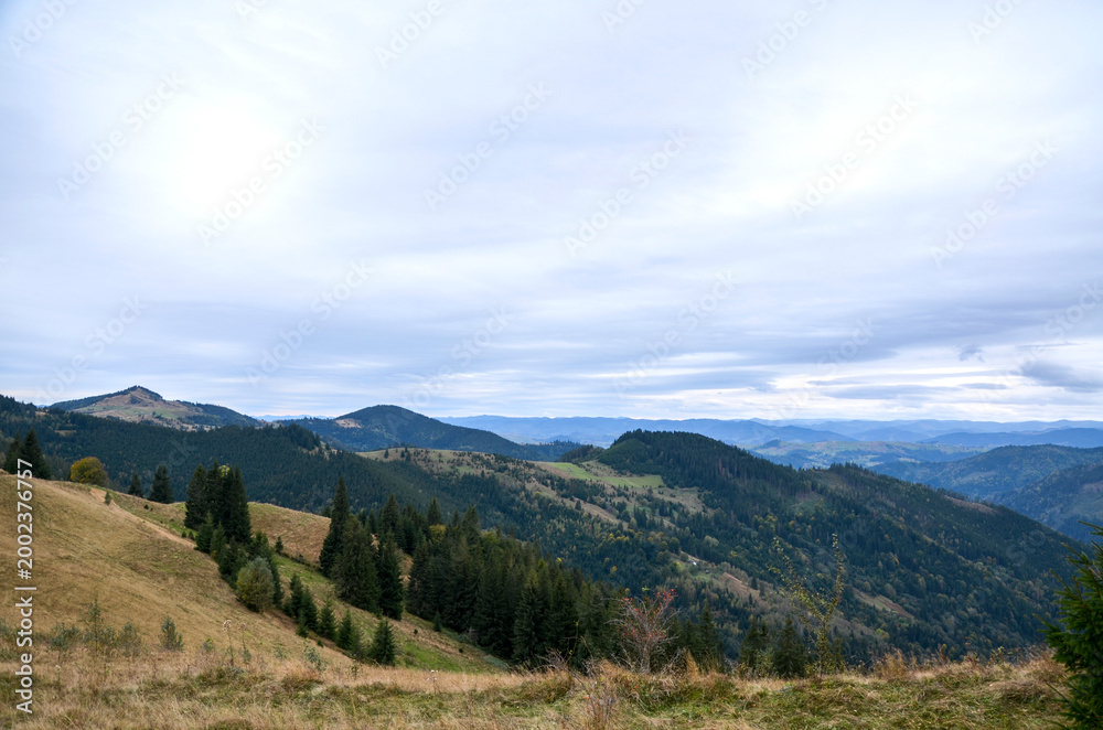 Fototapeta premium Expansive panoramic view of forested mountains, rolling meadows and layered ridges under soft cloudy sky. Calm, rural scenery conveying serenity, open space and outdoor adventure. Carpathian Mountains