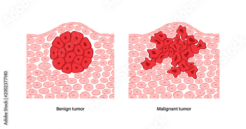 Cells structure sketch