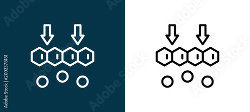 фотографія Two-shade outline icon pair in black and white, editable stroke vector illustrat