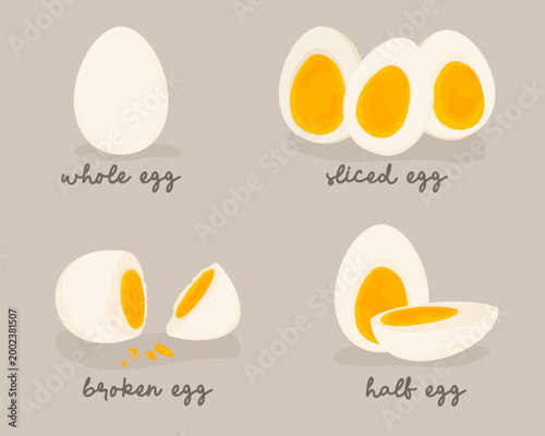 Set of boiled egg variations including whole, sliced, halved and broken pieces. Simple food concept, protein ingredient, minimal illustration isolated on white. Suitable for menu design, food blogs
