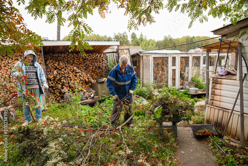 Φωτογραφία Two men clearing cut tree branches in backyard