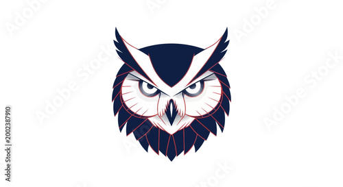 Owl Face Closeup Bird Portrait.