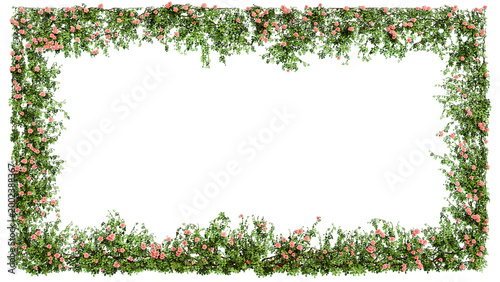 Floral frame of pink climbing roses on transparent background, 3D render.