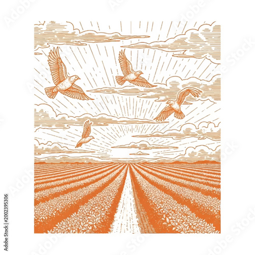 Brown Birds Flying Over Field.