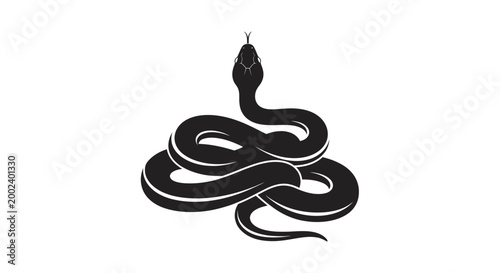 Black snake coiled in threatening posture.