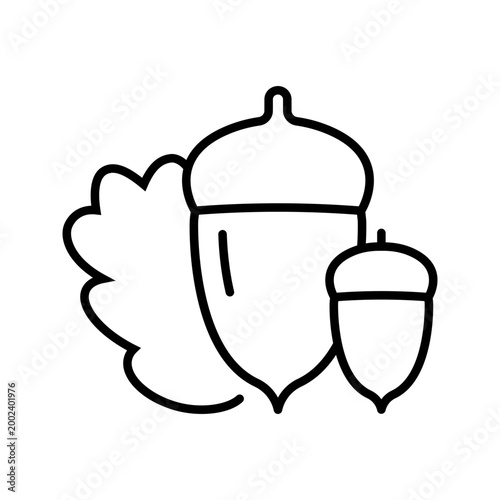 Acorn nut icon. Nature and tree nut line symbol. Black and white.