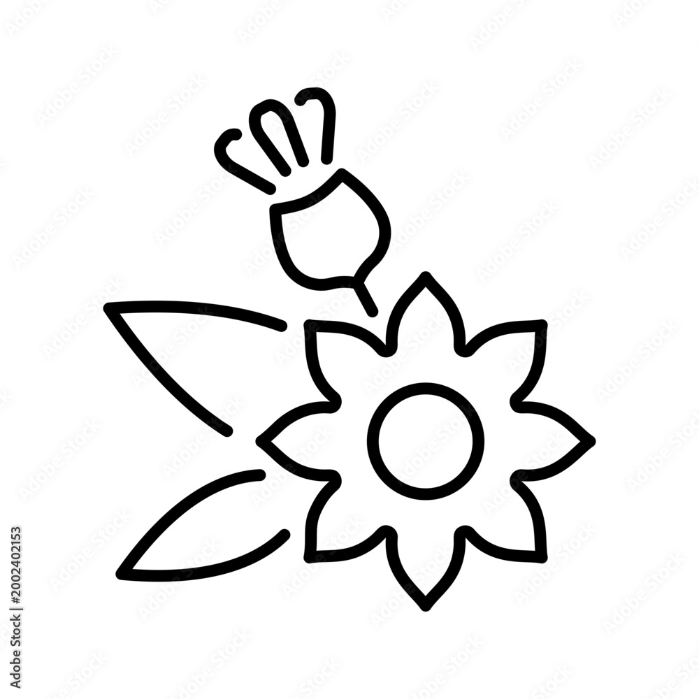 Fototapeta premium Calendula flower icon. Nature and herbs line symbol. Black and white.