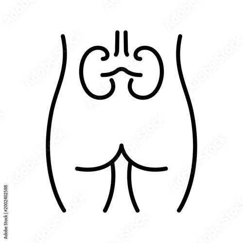 Kidney anatomy icon. Healthcare and anatomy line symbol. Black and white.