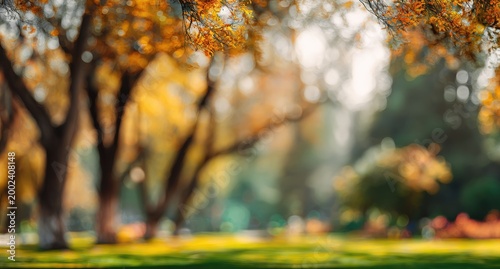 A blurred, autumnal scene depicts trees with golden leaves and a soft, out-of-focus background.
