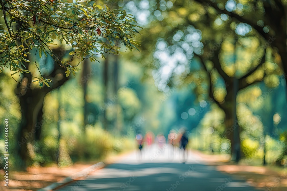 Obraz premium A blurred, serene image captures a pathway through a lush, green forest with dappled sunlight filtering through the trees, creating a peaceful and dreamlike atmosphere.