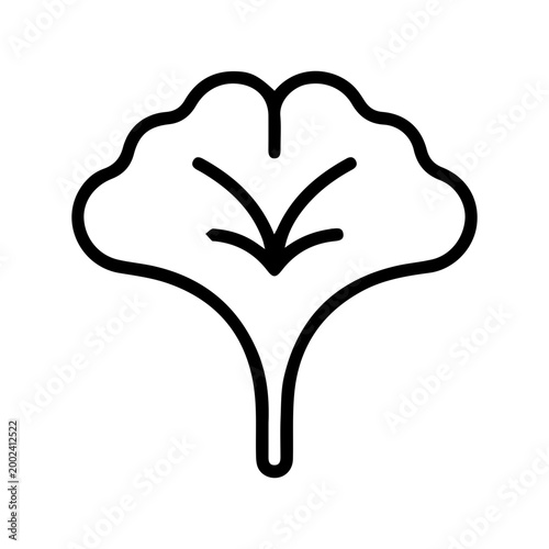 Ginkgo Leaf Outline Icon