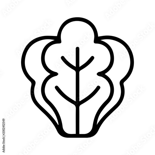 Fresh Lettuce Outline Icon