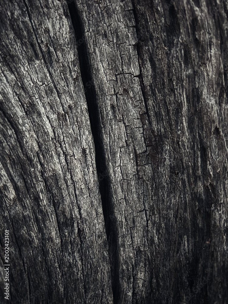 Fototapeta premium Various background