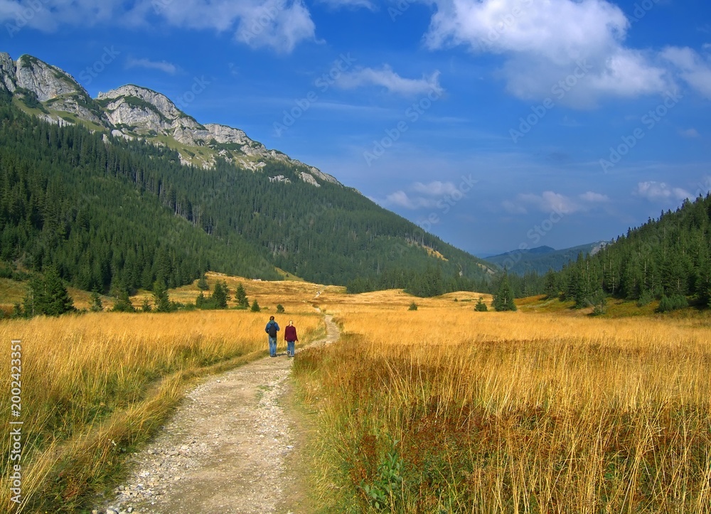 Fototapeta premium People on the mountain hiking trail in the Tatra Mountains, Poland. Surrounded by mountains , forest and yellow grass..