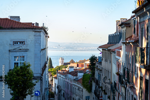 Morning view down a winding Lisbon street towards the water, with birds overhead