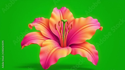 a blooming colorful flower gently swaying with subtle petal movement and soft glow