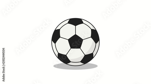 Classic Black and White Soccer Ball for Sports and Recreation.