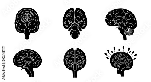 Brain Anatomy Silhouettes: Six Views of Human Cerebrum and Skull