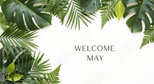 welcome may greeting card with tropical monstera leaves and soft lighting