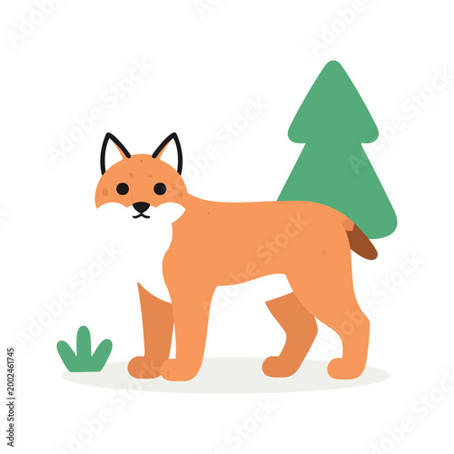 Cute fox stands in a forest clearing near a small evergreen tree