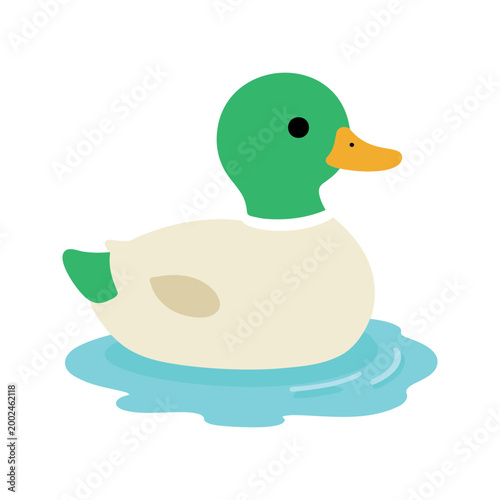 Cartoon mallard duck floating on rippling water in simplistic illustration style