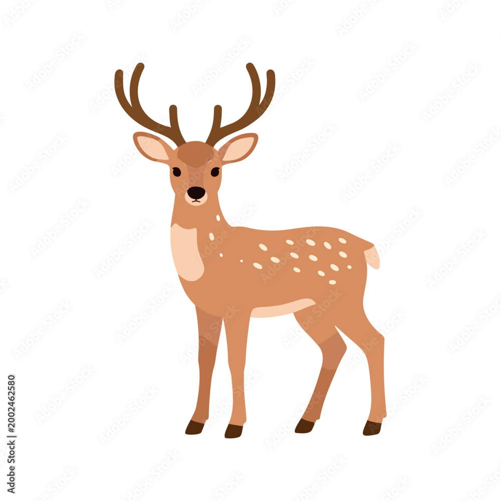 Fototapeta premium Fawn stands tall with a reddish-brown coat spotted with white dots on an isolated backdrop