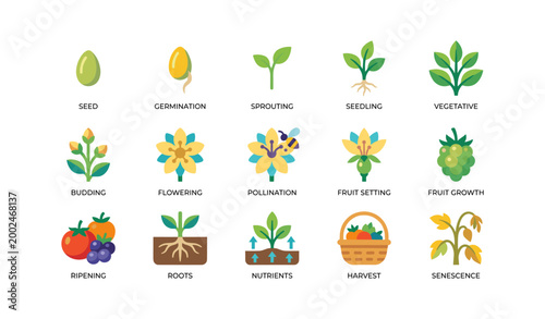 Plant growth stages icons showing lifecycle from seed to harvest