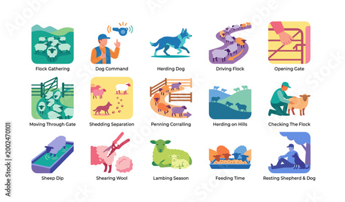 Sheep herding and shepherd icons showing flock management activities