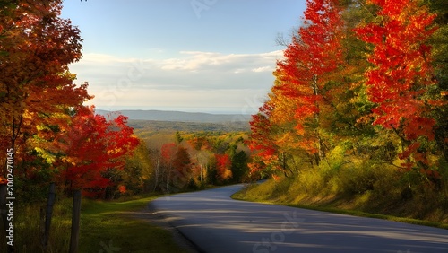 Winding mountain road through colorful autumn forest at sunset 