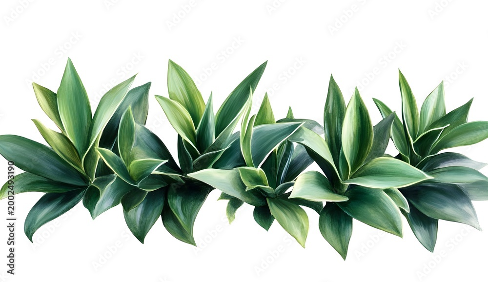 Obraz premium Lush Green Tropical Leaves Border