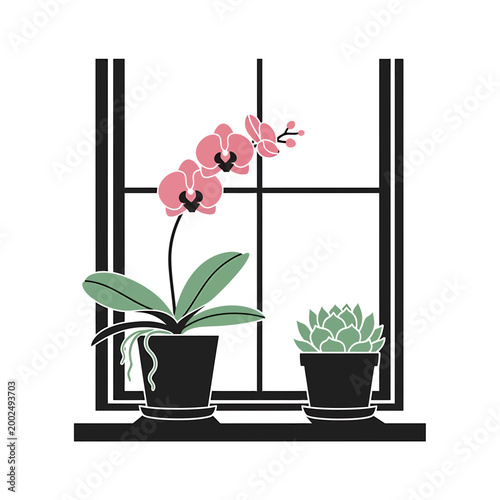 Minimalist illustration of potted orchid and succulent by a window