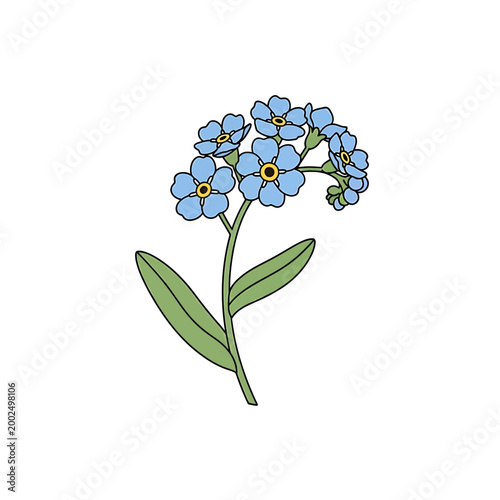 Blue forget me not flower sprig botanical vector illustration