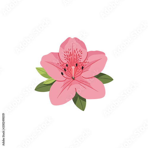 Pink azalea flower vector illustration with green leaves