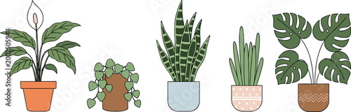 Potted houseplant set with monstera snake plant and peace lily