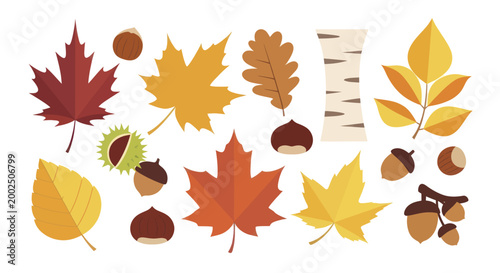 Autumn leaves and acorns collection seasonal fall foliage design elements.