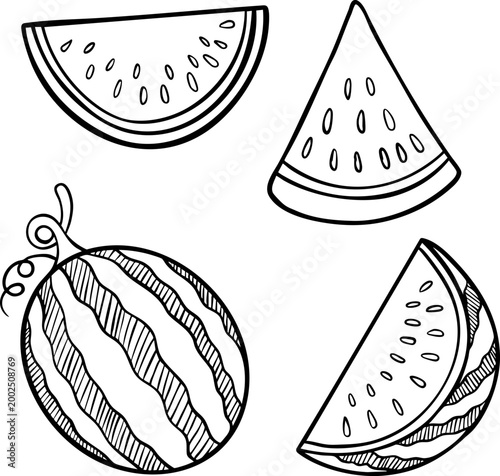 Doodle Set Line Art Watermelon Illustration. Hand Drawn Ripped Watermelon Line Style Illustration.