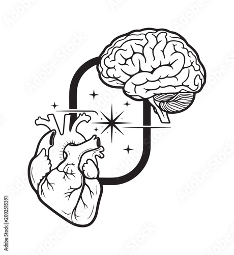 Brain And Heart Anatomy Connection Illustration.