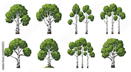 Illustrations of various tree species.