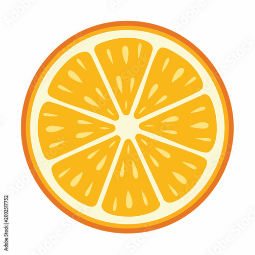 Illustration of a Fresh Orange Slice