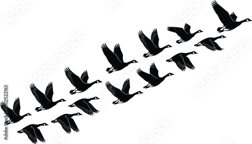 Goose flock silhouettes vector illustration, V-shaped flight formation symbolizing migration, teamwork, freedom, energy conservation, and coordination